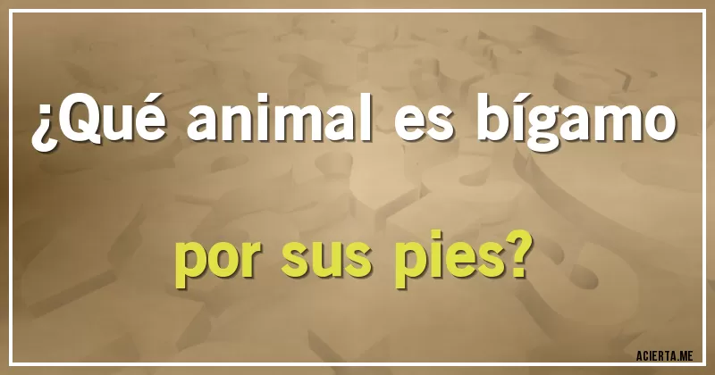 Acertijos - ¿Qué animal es bígamo por sus pies?