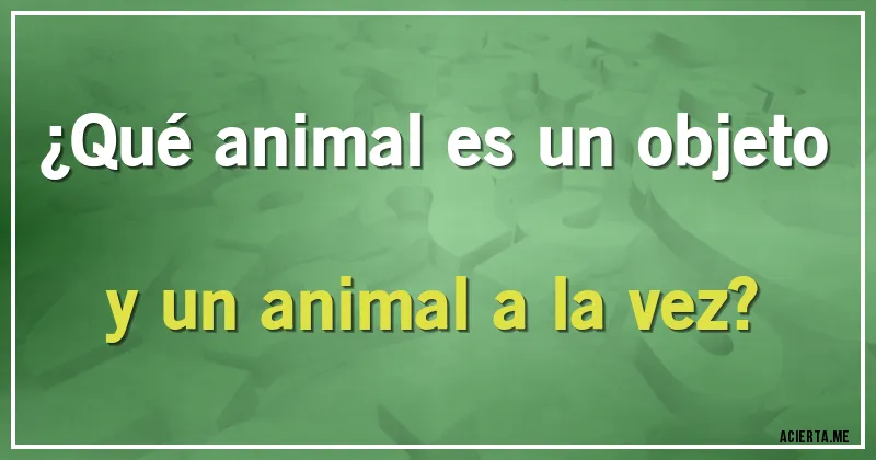 Acertijos - ¿Qué animal es un objeto y un animal a la vez?