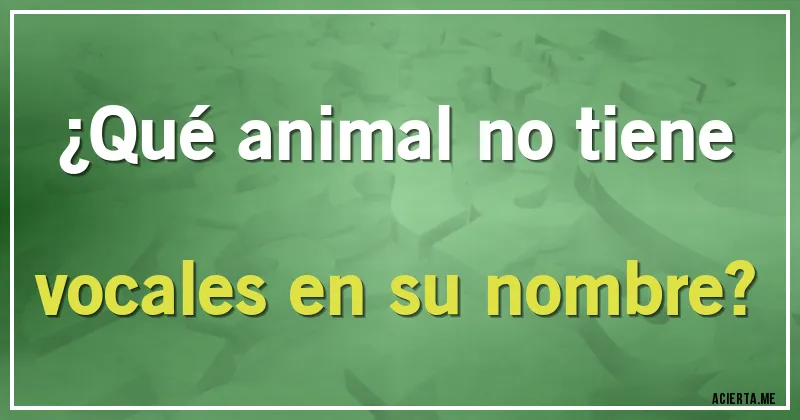 Acertijos - ¿Qué animal no tiene vocales en su nombre?