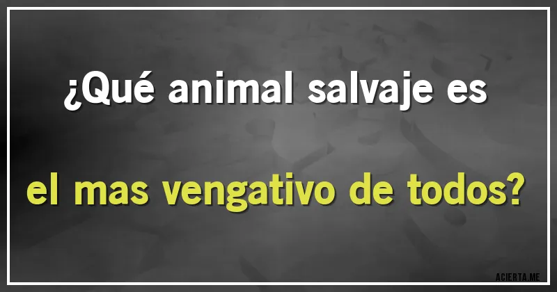 Acertijos - ¿Qué animal salvaje es el mas vengativo de todos?