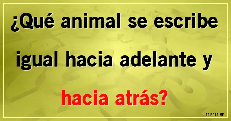 Acertijos - ¿Qué animal se escribe igual hacia adelante y hacia atrás?