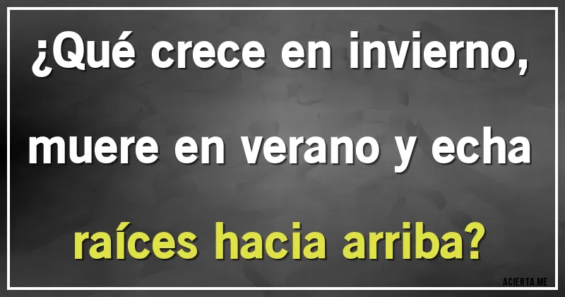 Acertijos - ¿Qué crece en invierno, muere en verano y echa raíces hacia arriba?
