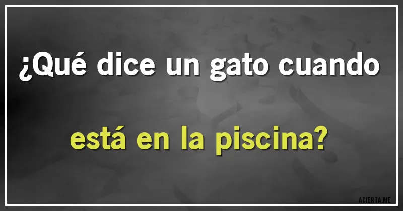 Acertijos - ¿Qué dice un gato cuando está en la piscina?