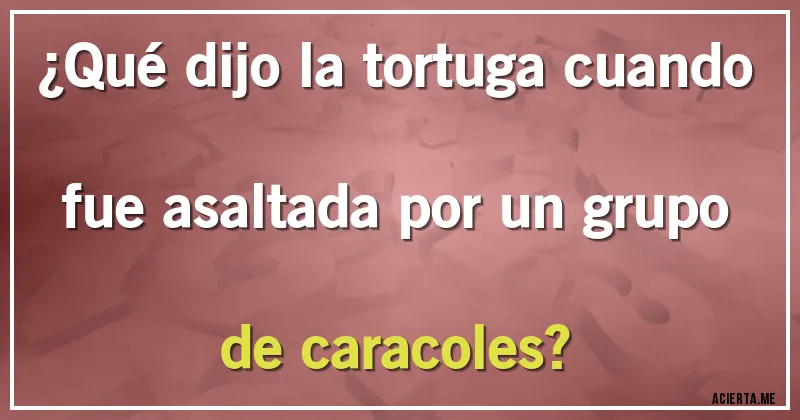 Acertijos - ¿Qué dijo la tortuga cuando fue asaltada por un grupo de caracoles?