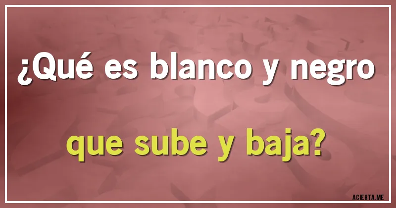 Acertijos - ¿Qué es blanco y negro que sube y baja?