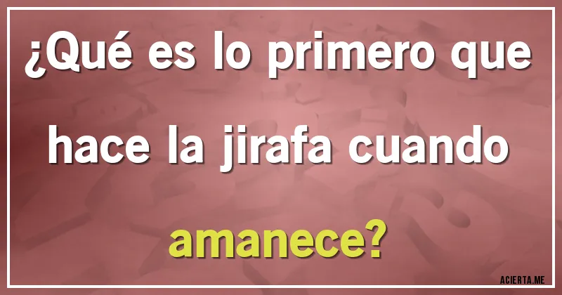 Acertijos - ¿Qué es lo primero que hace la jirafa cuando amanece?