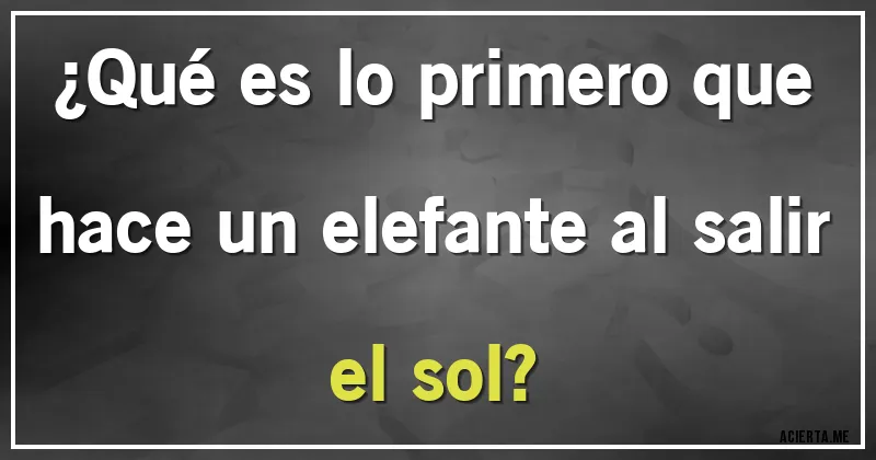 Acertijos - ¿Qué es lo primero que hace un elefante al salir el sol?