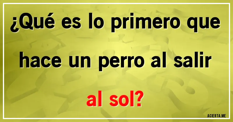 Acertijos - ¿Qué es lo primero que hace un perro al salir al sol?
