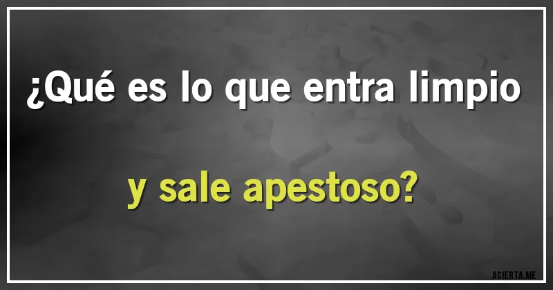 Acertijos - ¿Qué es lo que entra limpio y sale apestoso?