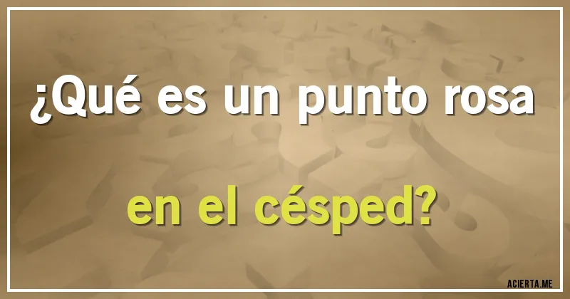 Acertijos - ¿Qué es un punto rosa en el césped?