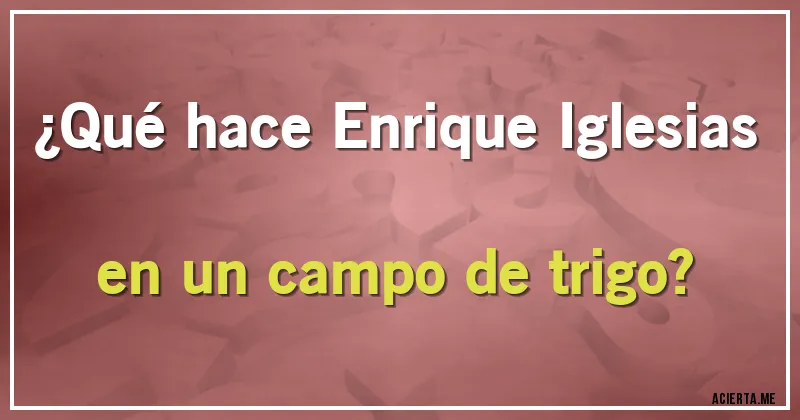 Acertijos - ¿Qué hace Enrique Iglesias en un campo de trigo?