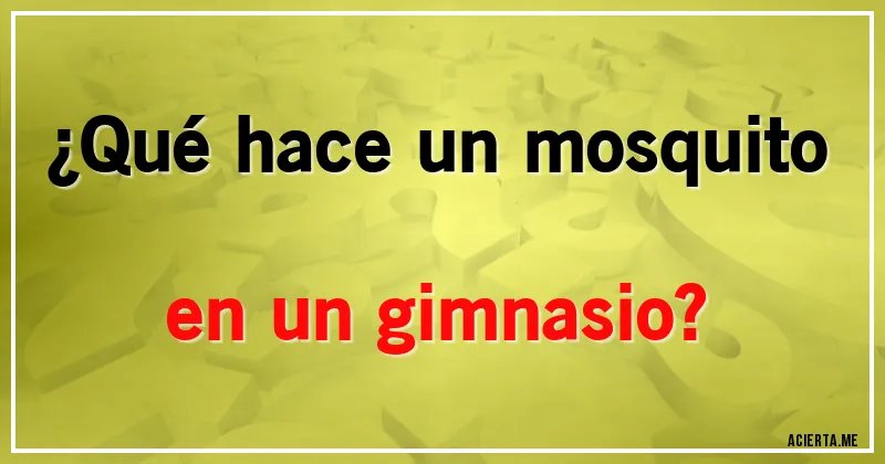 Acertijos - ¿Qué hace un mosquito en un gimnasio?