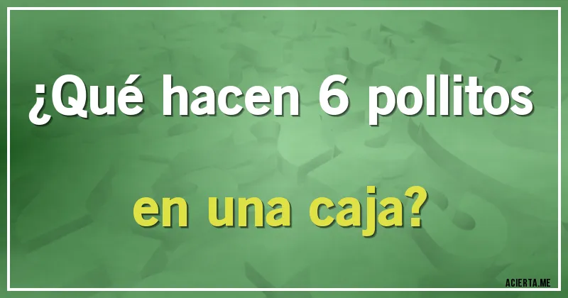 Acertijos - ¿Qué hacen 6 pollitos en una caja?