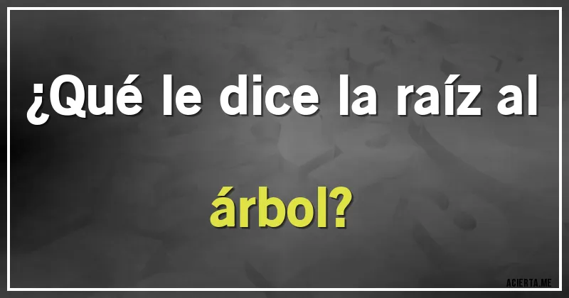 Acertijos - ¿Qué le dice la raíz al árbol?