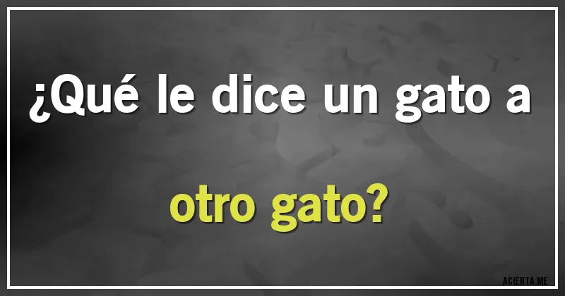 Acertijos - ¿Qué le dice un gato a otro gato?