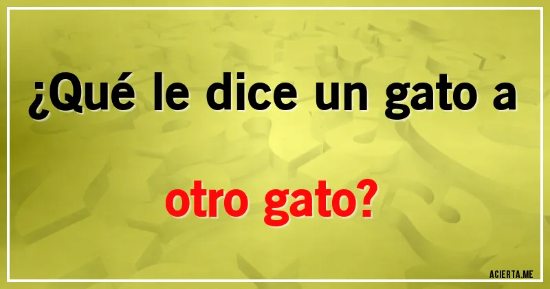 Acertijos - ¿Qué le dice un gato a otro gato?