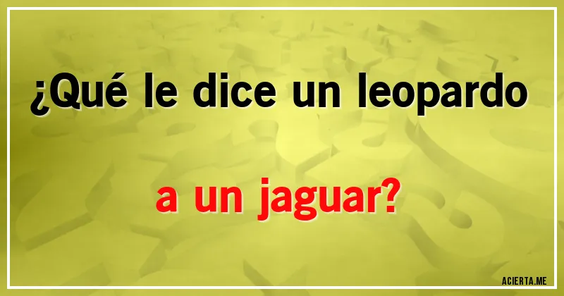 Acertijos - ¿Qué le dice un leopardo a un jaguar?