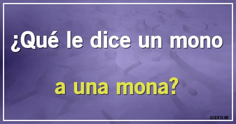 Acertijos - ¿Qué le dice un mono a una mona?