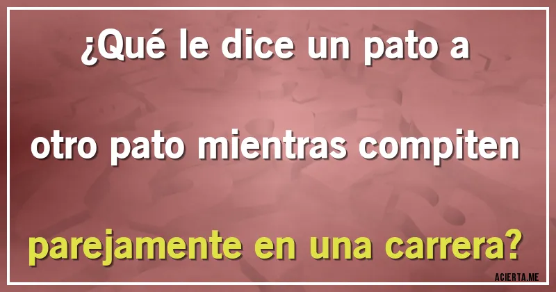 Acertijos - ¿Qué le dice un pato a otro pato mientras compiten parejamente en una carrera?