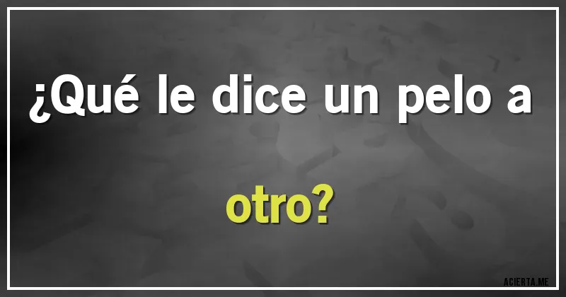 Acertijos - ¿Qué le dice un pelo a otro?