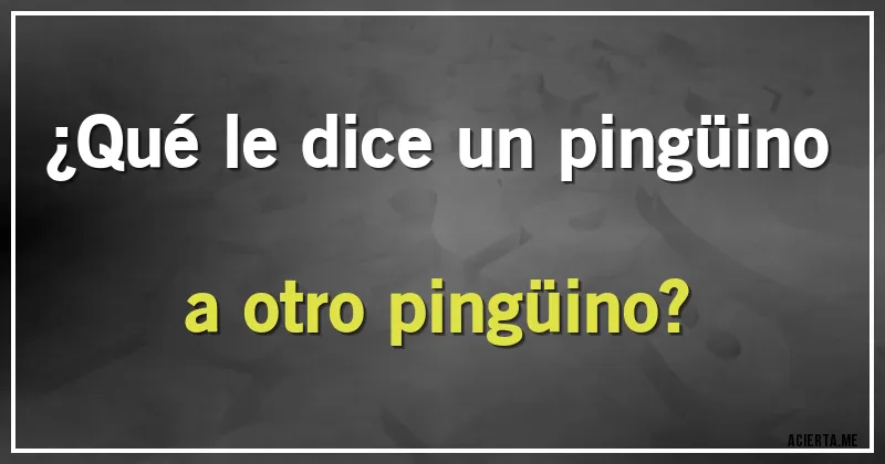 Acertijos - ¿Qué le dice un pingüino a otro pingüino?