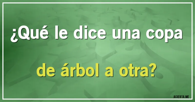 Acertijos - ¿Qué le dice una copa de árbol a otra?