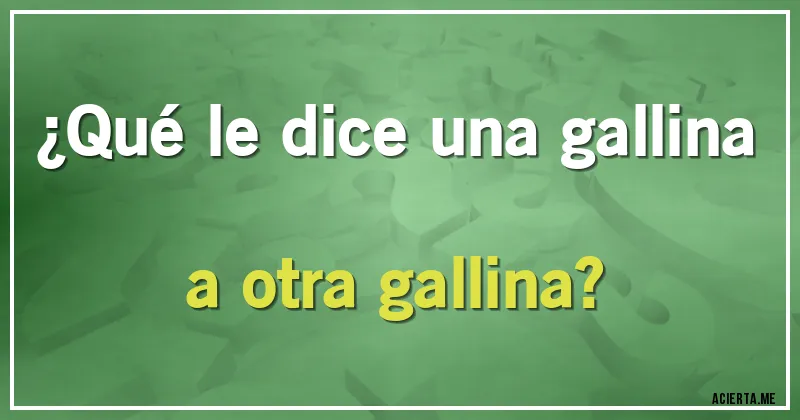 Acertijos - ¿Qué le dice una gallina a otra gallina?
