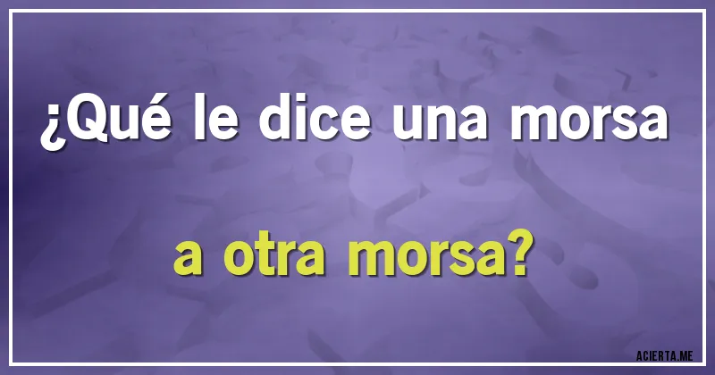 Acertijos - ¿Qué le dice una morsa a otra morsa?