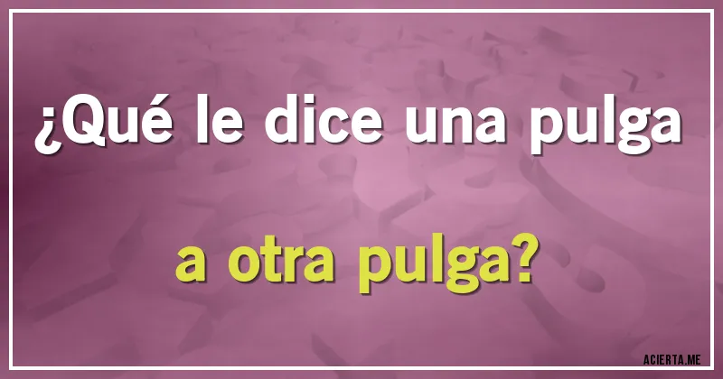 Acertijos - ¿Qué le dice una pulga a otra pulga?