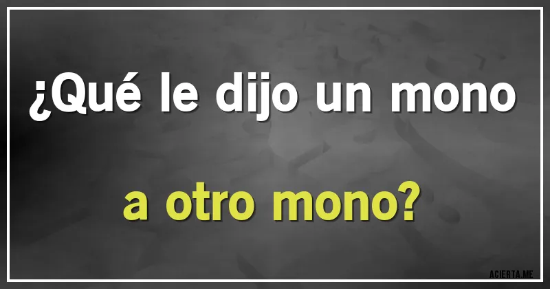 Acertijos - ¿Qué le dijo un mono a otro mono?