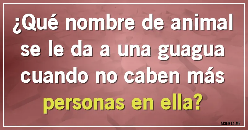 Acertijos - ¿Qué nombre de animal se le da a una guagua cuando no caben más personas en ella?