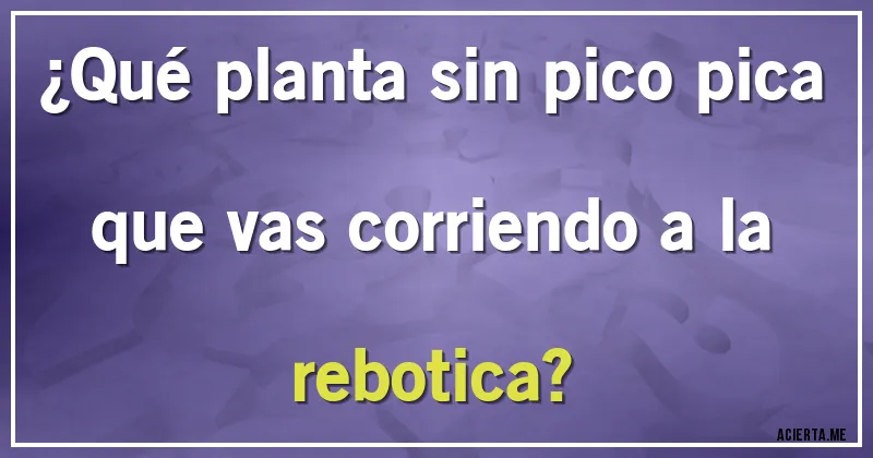 Acertijos - ¿Qué planta sin pico pica que vas corriendo a la rebotica?