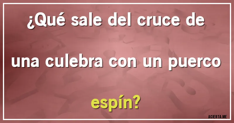 Acertijos - ¿Qué sale del cruce de una culebra con un puerco espín?