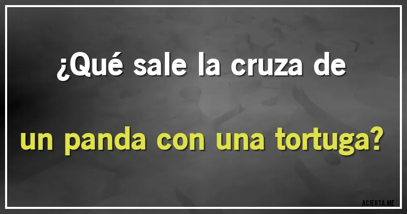 Acertijos - ¿Qué sale la cruza de un panda con una tortuga?