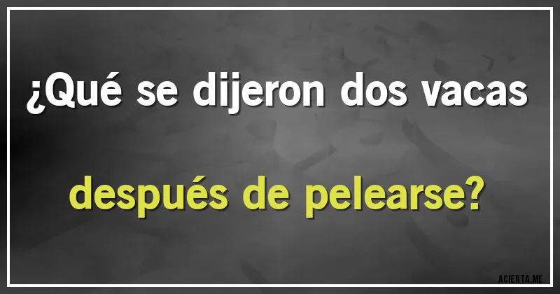 Acertijos - ¿Qué se dijeron dos vacas después de pelearse?