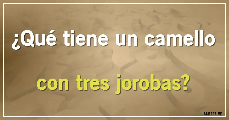 Acertijos - ¿Qué tiene un camello con tres jorobas?