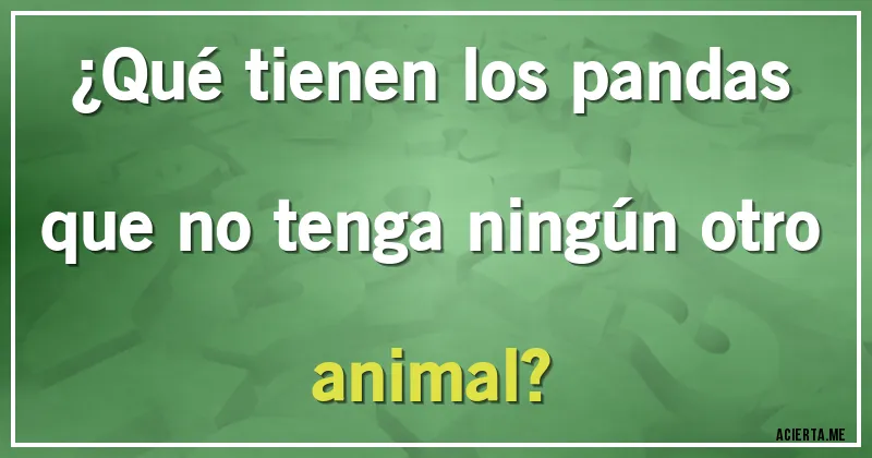 Acertijos - ¿Qué tienen los pandas que no tenga ningún otro animal?
