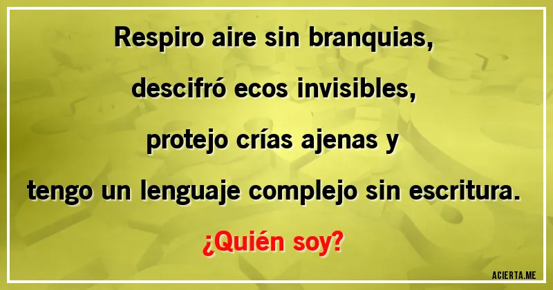 Acertijos - Respiro aire sin branquias,
descifró ecos invisibles,
protejo crías ajenas y 
tengo un lenguaje complejo sin escritura.
¿Quién soy?
