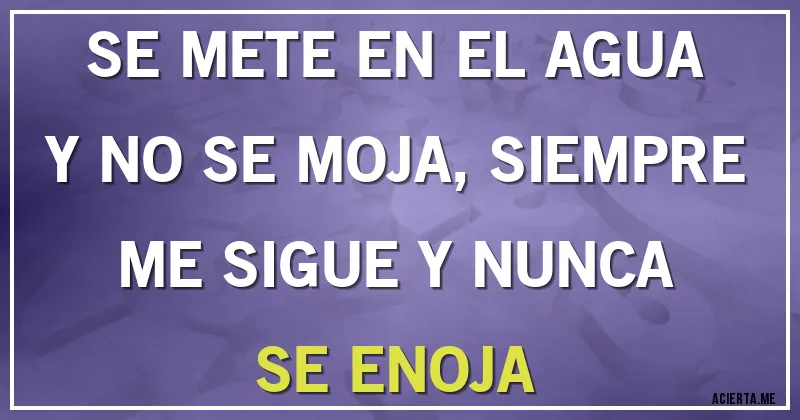 Acertijos - SE METE EN EL AGUA Y NO SE MOJA, SIEMPRE ME SIGUE Y NUNCA SE ENOJA