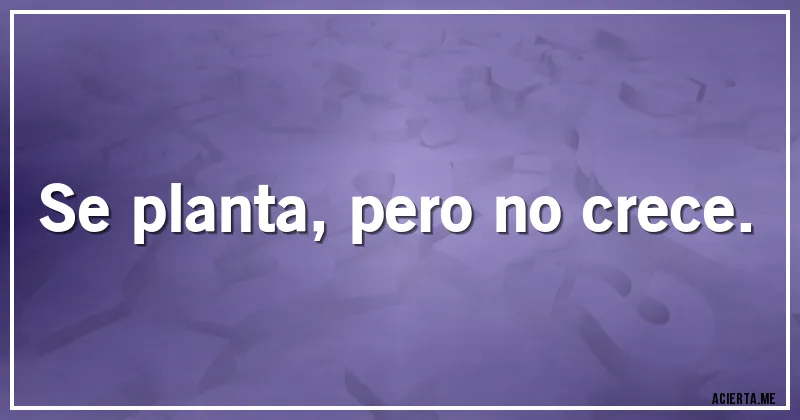 Acertijos - Se planta, pero no crece.