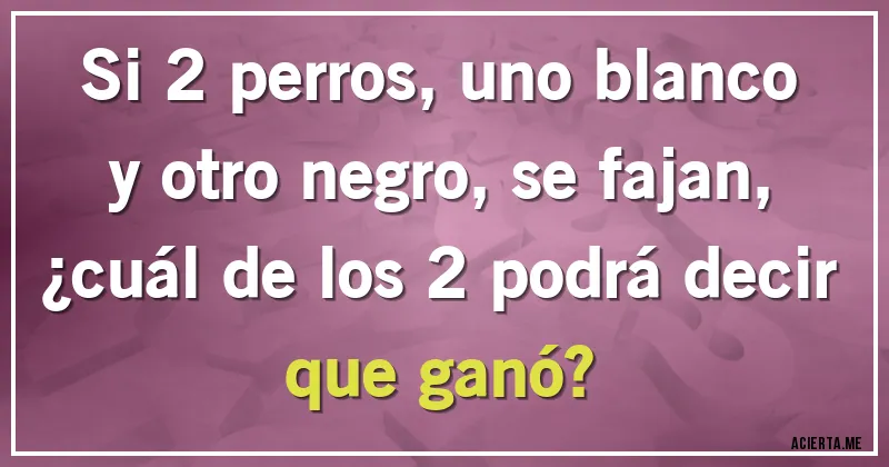 Acertijos - Si 2 perros, uno blanco y otro negro, se fajan, ¿cuál de los 2 podrá decir que ganó?