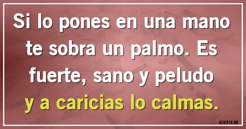 Acertijos - Si lo pones en una mano te sobra un palmo. Es fuerte, sano y peludo y a caricias lo calmas.