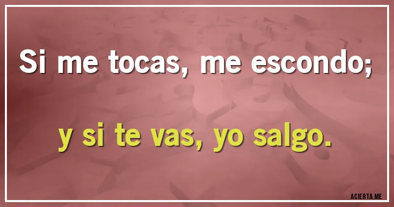 Acertijos - Si me tocas, me escondo; y si te vas, yo salgo.