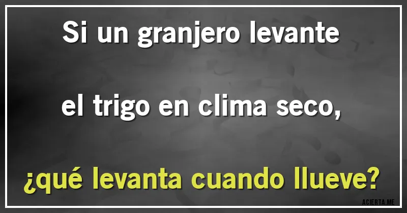 Acertijos - Si un granjero levante el trigo en clima seco, 
¿qué levanta cuando llueve?