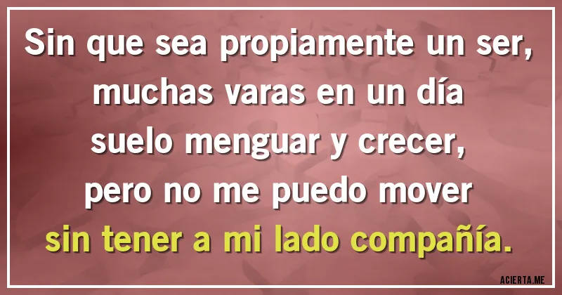 Acertijos - Sin que sea propiamente un ser,
muchas varas en un día
suelo menguar y crecer,
pero no me puedo mover
sin tener a mi lado compañía.