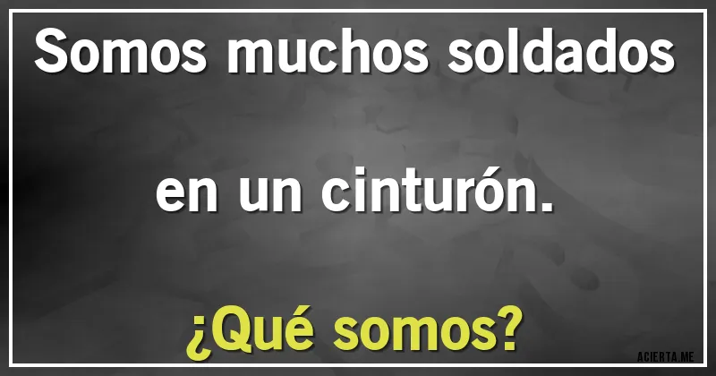 Acertijos - Somos muchos soldados en un cinturón.
¿Qué somos?