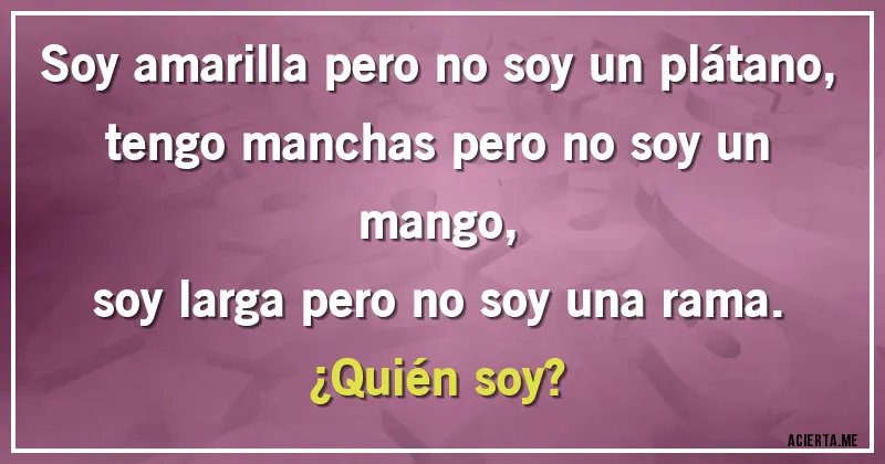 Acertijos - Soy amarilla pero no soy un plátano,
tengo manchas pero no soy un mango,
soy larga pero no soy una rama.
¿Quién soy?