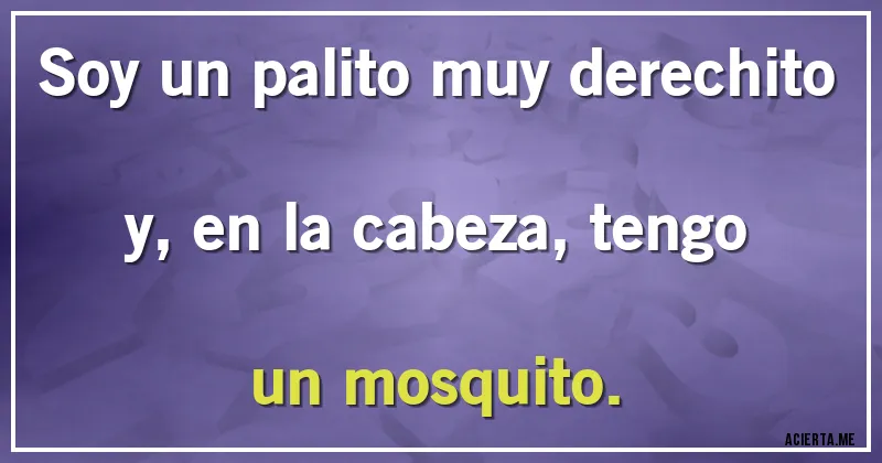 Acertijos - Soy un palito muy derechito y, en la cabeza, tengo un mosquito.