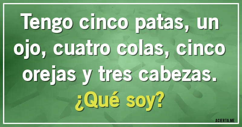 Acertijos - Tengo cinco patas, un ojo, cuatro colas, cinco orejas y tres cabezas.
¿Qué soy?