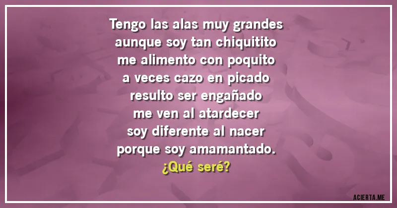 Acertijos - Tengo las alas muy grandes
aunque soy tan chiquitito
me alimento con poquito
a veces cazo en picado
resulto ser engañado
me ven al atardecer
soy diferente al nacer
porque soy amamantado.
¿Qué seré?